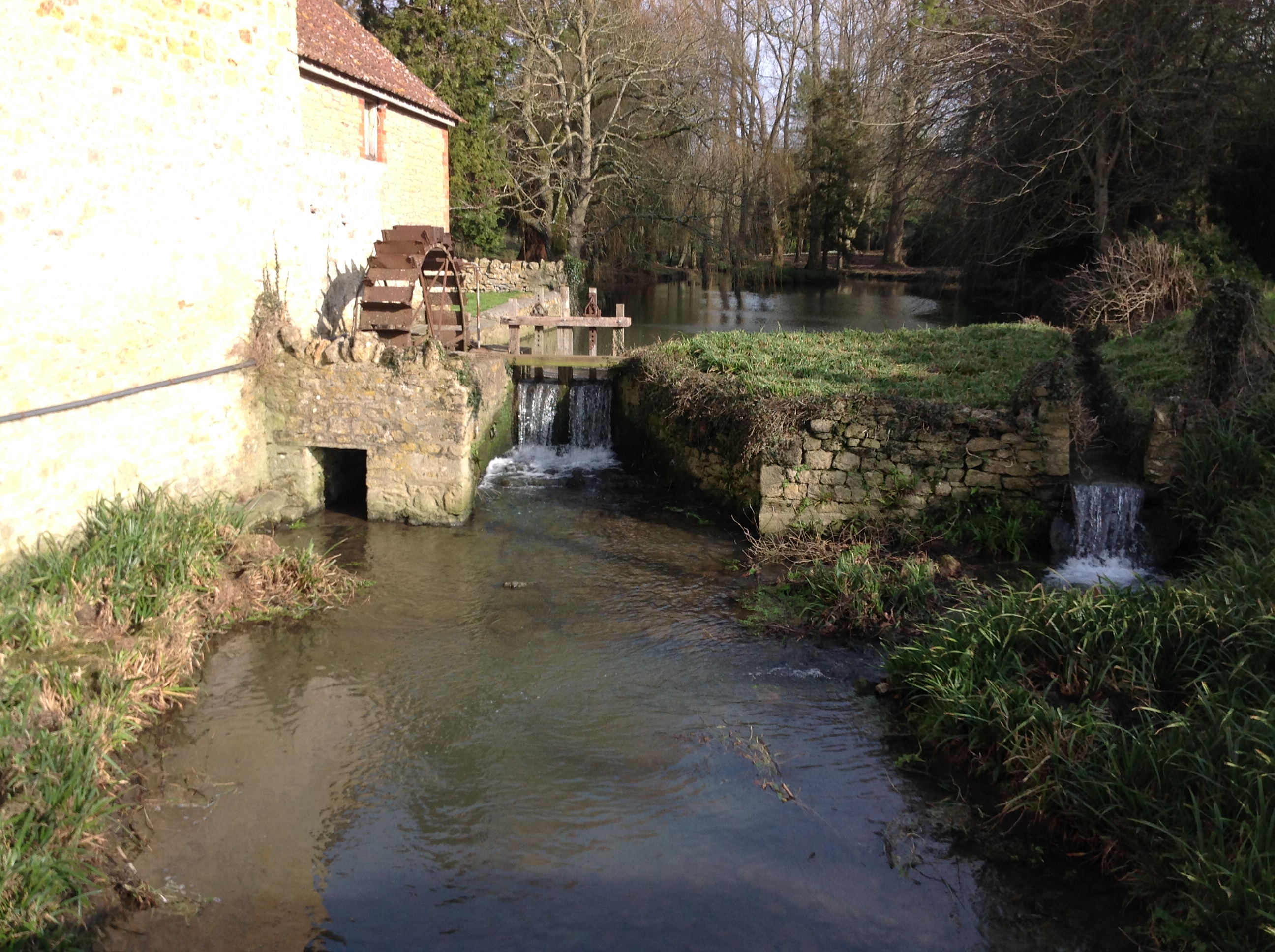 eaw033668 ENGLAND (1950). Barrow Hill, Milborne Wick, 1950 Britain